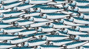 CHE LE SARDINE NON FINISCANO IN PADELLA